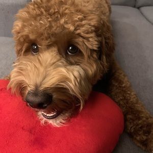 Meet your Posher, Matt